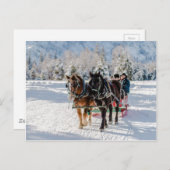 Winter's Wonderland Briefkaart (Voorkant / Achterkant)