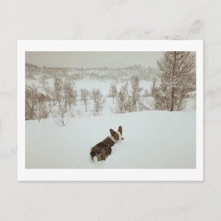 Winters wonderland Kerstkaart Feestdagenkaart