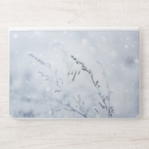 Winterscène - Bevroren bloem