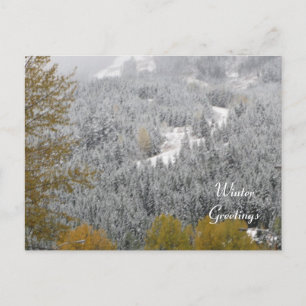 Winterscène bij Whistler, B.C. Briefkaart