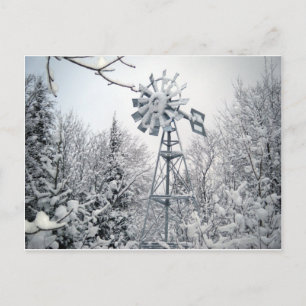 winterscheen briefkaart