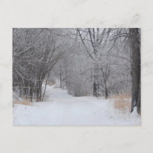 Winterse eenzaamheid briefkaart