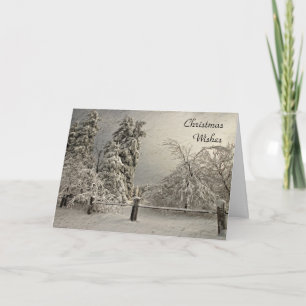 Winterse Snowy Trees - Groeten en Opmerking Kaart