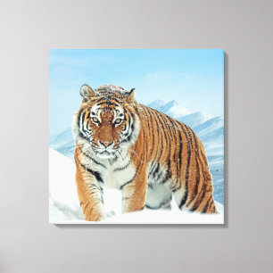 Wintersneeuw Natuur Foto Tijgergebergte Canvas Afdruk