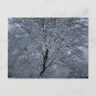 Wintersneeuw op een boom briefkaart