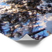 Wintersneeuw op Treetops Poster (Hoek)