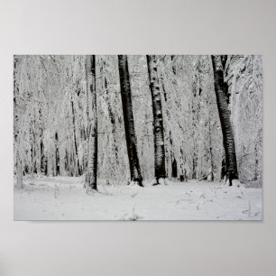 Wintersneeuwbomen - - poster