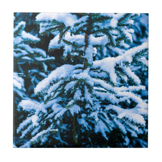 Wintersneeuwkerstboom Tegeltje (Voorkant)