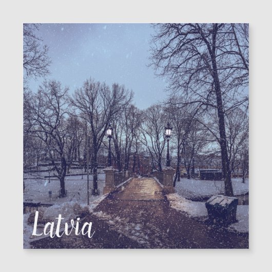 Wintersneeuwstadspark in de avond (Voorkant)