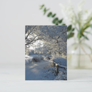 Wintersneeuwval Briefkaart