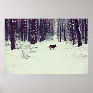 Wintersnowy dennenbos, hond die in het bos loopt poster