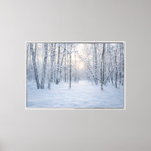 Wintersonlicht in stil berkenbos