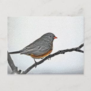 WinterSparrow Briefkaart