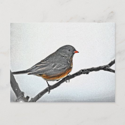 WinterSparrow Briefkaart (Voorkant)