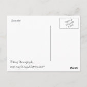 Winterstonen Briefkaart (Achterkant)