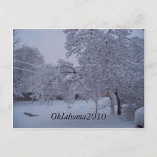 winterstorm 2010 (oklahoma) briefkaart