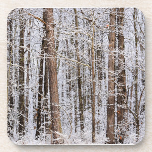 Winterstorm in het bos bier onderzetter