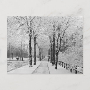 Winterstraatbeeld, 1910 briefkaart