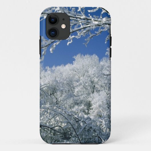 wintertaferelen-48 Case-Mate iPhone case (Achterkant)