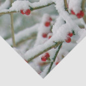 Wintertakken met rode bessen en sneeuw tissuepapier (Detail)