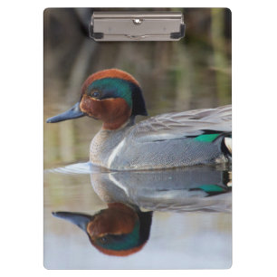 Wintertaling Klembord