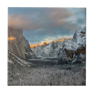 Winterteken Tegeltje