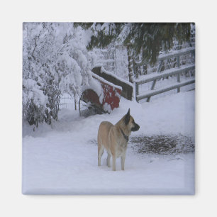 Wintertijd...... Magneet