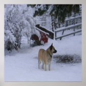 Wintertijd.... Poster (Voorkant)