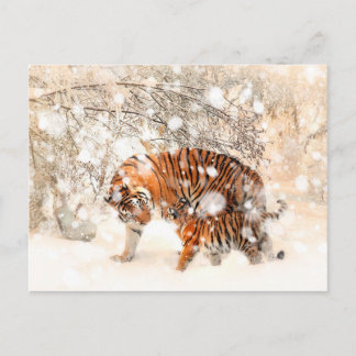 Wintertijgers Briefkaart