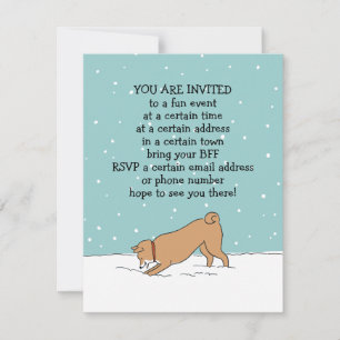 Wintervakantie Shiba Inu Feest Aankondigingen