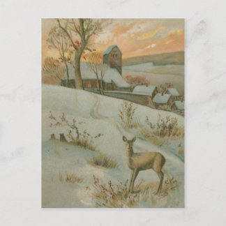 Winterveld hertenkerk sneeuw briefkaart
