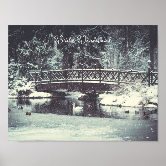 Wintervijver Poster (Voorkant)