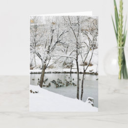wintervijvervakantiekaart feestdagen kaart