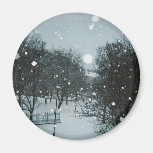 Wintervlokken Magneet