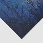 Wintervlucht van Raven Tissuepapier (Detail)