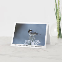 Wintervogel op bevroren dennentak