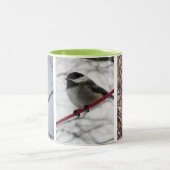 Wintervogels Mok (Center)