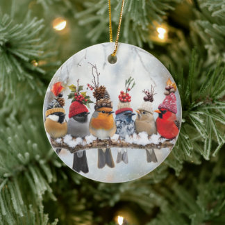 Wintervogels, vogelliefhebbers, schattige vogels keramisch ornament