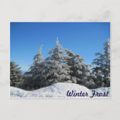 Wintervorst Briefkaart (Voorkant)