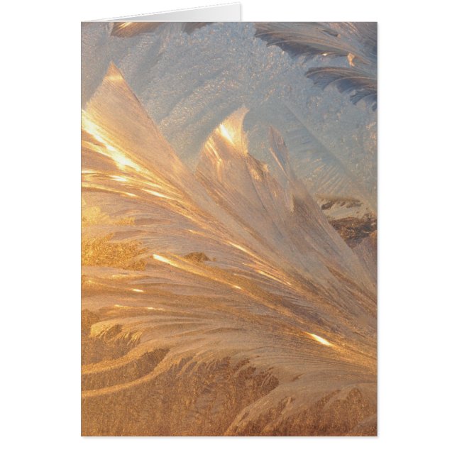 Wintervorst op glas (Voorkant)