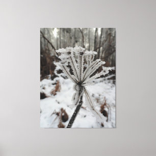 Wintervorst op planten in de bosfotografie canvas afdruk