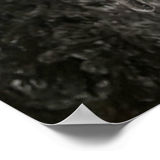 Wintervorst Poster (Hoek)