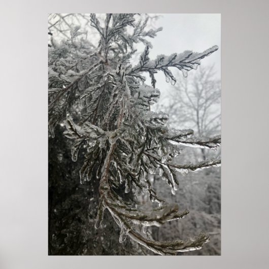 Wintervorst Poster (Voorkant)