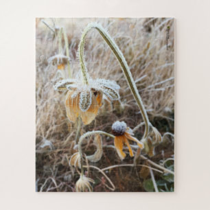 Wintervorst Wilde Rudbeckia Blooms Foto Legpuzzel