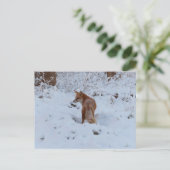 Wintervos Briefkaart (Staand voorkant)