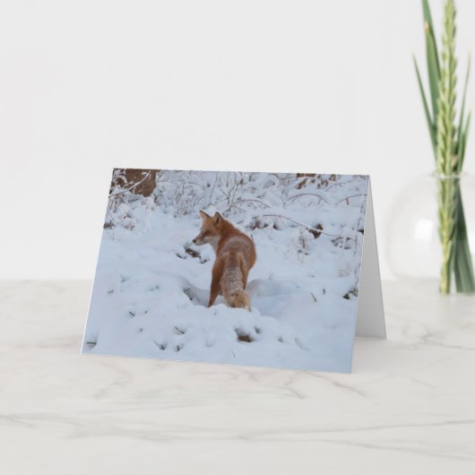 Wintervos Kaart (Voorkant)