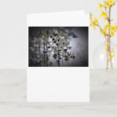 Wintervries, kaart (Gele Bloem)