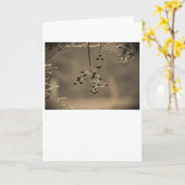 Wintervries, kaart (Gele Bloem)