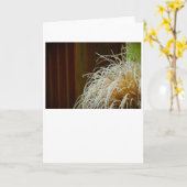 Wintervries, kaart (Gele Bloem)
