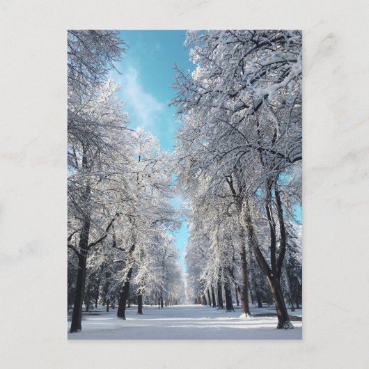 winterwandeling in het park briefkaart (Voorkant)